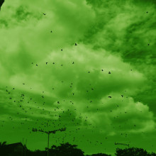 Green Sky Green Sky