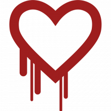 Heartbleed Bug