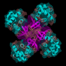 A DNA helicase (Ruva protein) from a bacterium, Escherichia coli, at pH 4.9 and room temperature.