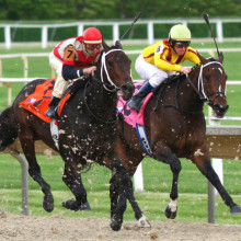 Horse race Horse race