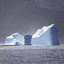 Iceberg