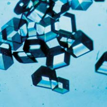 Insulin crystals Insulin crystals