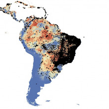 Mapping the distribution of mosquitoes: Aedes aegypti and Aedes albopictus are now increasing their geographical spread but also their numbers and overall health burden on the population.