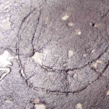Petroglyph, or rock engraving