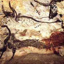 Cave painting of auroches (''Bos primigenius primigenius'') in Lascaux, France.