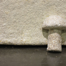 Ecovative's Mushroom Material