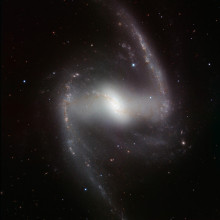  This striking new image, taken with the powerful HAWK-I infrared camera on ESOs Very Large Telescope at Paranal Observatory in Chile, shows NGC 1365. This beautiful barred spiral galaxy is part of the Fornax cluster of galaxies, and lies about 60...