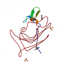 Clotting Factor VIII Clotting Factor VIII