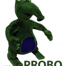Probo Probo