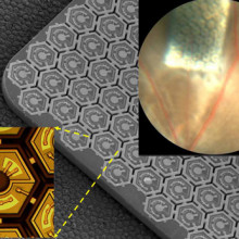  This pinpoint-sized photovoltaic chip (upper right corner) is implanted under the retina in a blind rat to restore sight. The center image shows how the chip is comprised of an array of photodiodes, which can be activated by pulsed near-infrared...