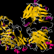 The fab domain of rituximab.