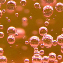 Rose Champagne Bubbles