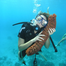 Sea cucumber snuggle - Scuba diving on the Great Barrier Reef off the coast of Australia