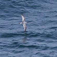 North-west of Falkland Islands