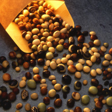 Varieties of soybeans