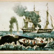 Whaling in the late 19th century
