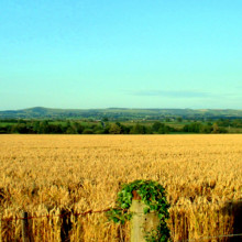 Farmland Farmland