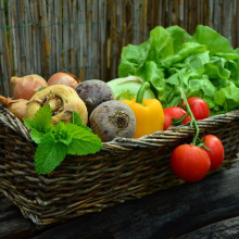 VEGETARIAN vegetarian