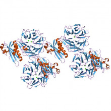 Colicin N toxin structure