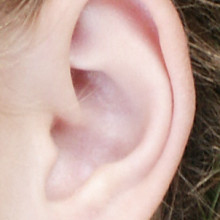 Ear