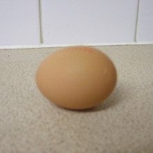 An egg