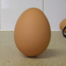 The egg stands on end