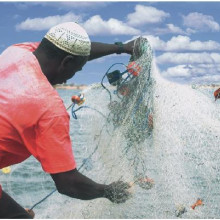 Fisherman, Saloum estuary, Senegal