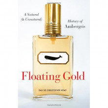 Floating Gold by Christopher Kemp cover