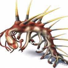 Hallucigenia