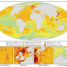 A global map of the overall impact that 17 different human activities are having on marine ecosystems. Insets show three of the most heavily impacted areas in the world, and one of the least impacted areas. Image courtesy of B.S Halpern / Science