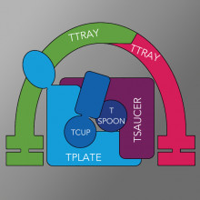 A protein complex called TSET sheds light on the evolution of trafficking pathways.