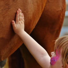 A young girl stroking a horse