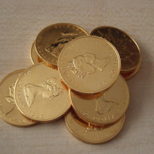 Maple leaves Some, apparently, gold coins