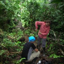 Crystal McMichael and Monica Zimmerman augur for soil cores in the Amazon.