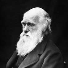 photograph of Charles Darwin