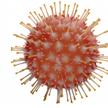 An artist's interpretation of a coronavirus particle.