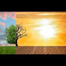 A tree shown in split-screen between a lush field and a hot desert.