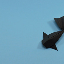 An origami fish sitting on a blue background