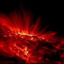 Solar flares on the sun's surface.