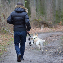 photo of a man with his dog