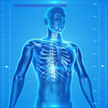 A blue CGI image of a body, showing the skeleton