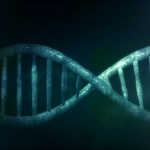 CGI images of DNA double helix