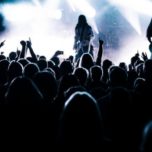 Audience at a rock concert