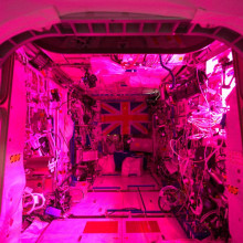 British presence in space