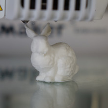 DNA stanford bunny