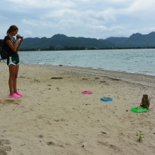 Monkey on beach
