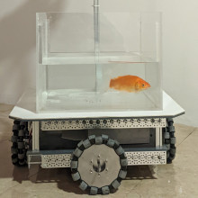 A goldfish driving a tank Fish in a tank on wheels