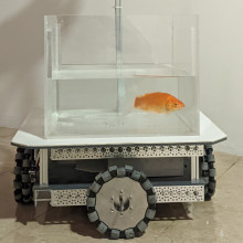 Fish in a tank on wheels