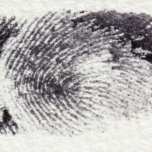 Human fingerprint