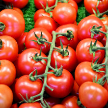 Cherry tomatoes on the vine